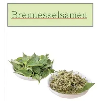 Brennesselsamen 30 g - 1