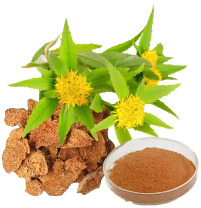 Rhodiola Rosea 90 Kapseln - 1