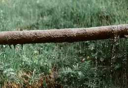 Trinkwasserwarnung Bad Endbach: Sonstige Verunreinigung nach Rohrbruch