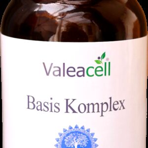 Basis Komplex