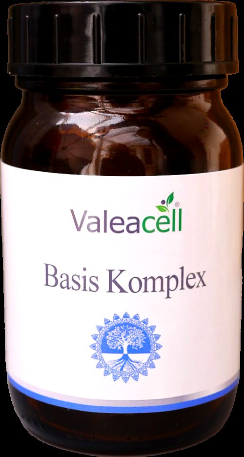 Basis Komplex