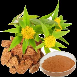 Rhodiola Rosea 90 Kapseln - 1