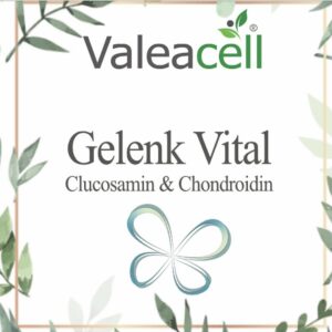 Gelenk Vital - 1