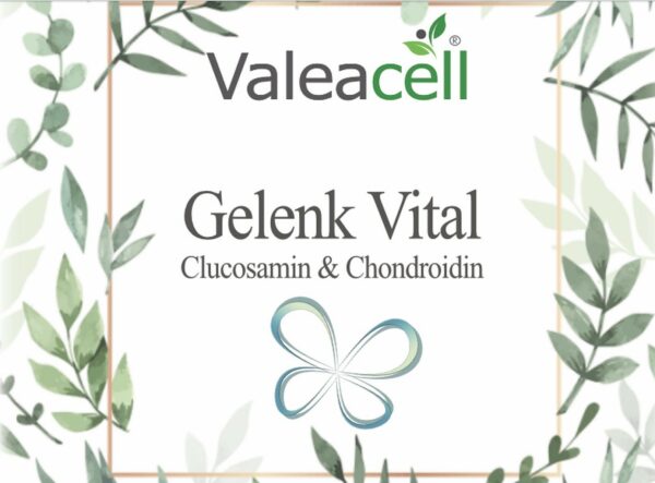 Gelenk Vital - 1