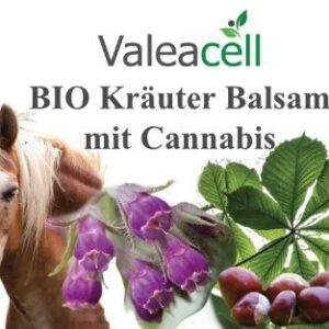 BIO Kräuter Balsam - 1