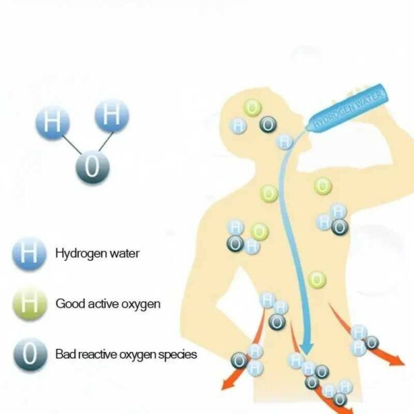 Hydrogen Generator - Wasserstoff Ionisierer 420ML