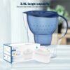 1-10 Stück Wasserfilterpatronen kompatibel mit Brita Maxtra – Für kalkfreies, reines und frisches Wasser - 12 WasserprodukteSich