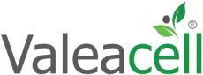 logo-1732632222